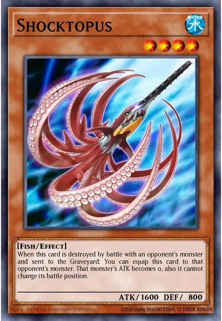 Choquetopus