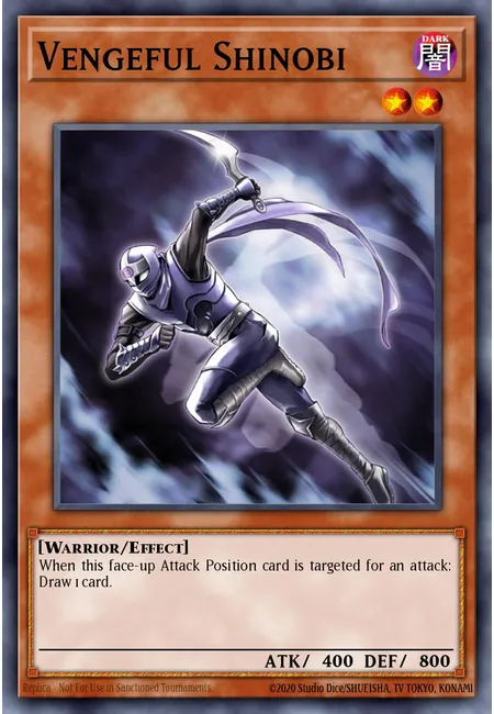 Vengeful Shinobi
