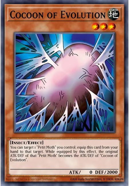 Cocoon of Evolution
