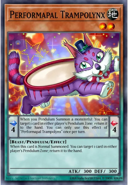 Camarartista Trampolynx