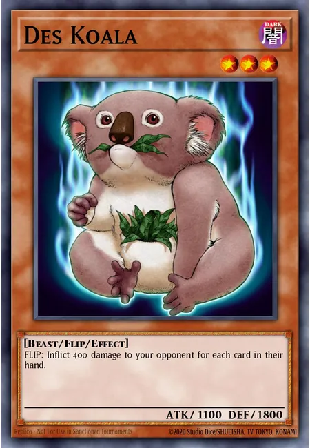 Des Koala