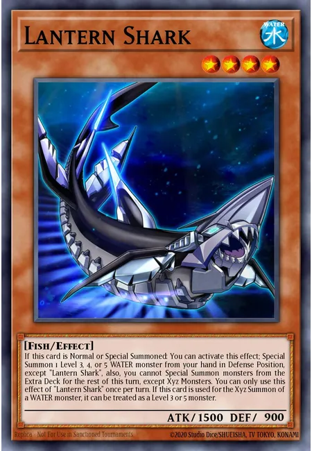 Lantern Shark