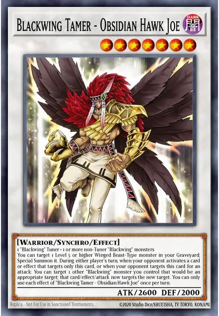 Blackwing Tamer - Obsidian Hawk Joe