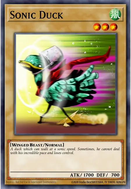 Sonic Duck