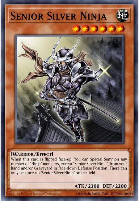 Senior Silver Ninja
